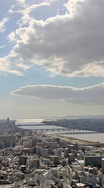 8比分足球即时比分-探秘8比分足球即时比分，足球迷的必备神器与赛事分析新视角