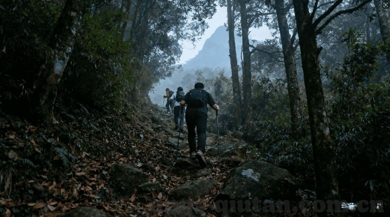 悟空体育平台登录入口手机版下载-悟空体育平台登录入口及手机版下载全攻略